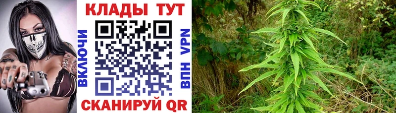Что такое Бобров omg ТОР АМФЕТАМИН Марихуана А ПВП Псилоцибиновые грибы