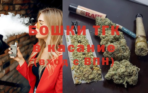 стаф Алексин