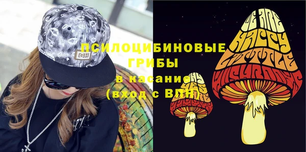 Альфа ПВП Алзамай