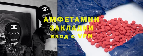 стаф Алексин