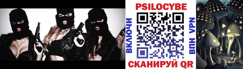 где продают   Бобров  Галлюциногенные грибы прущие грибы 